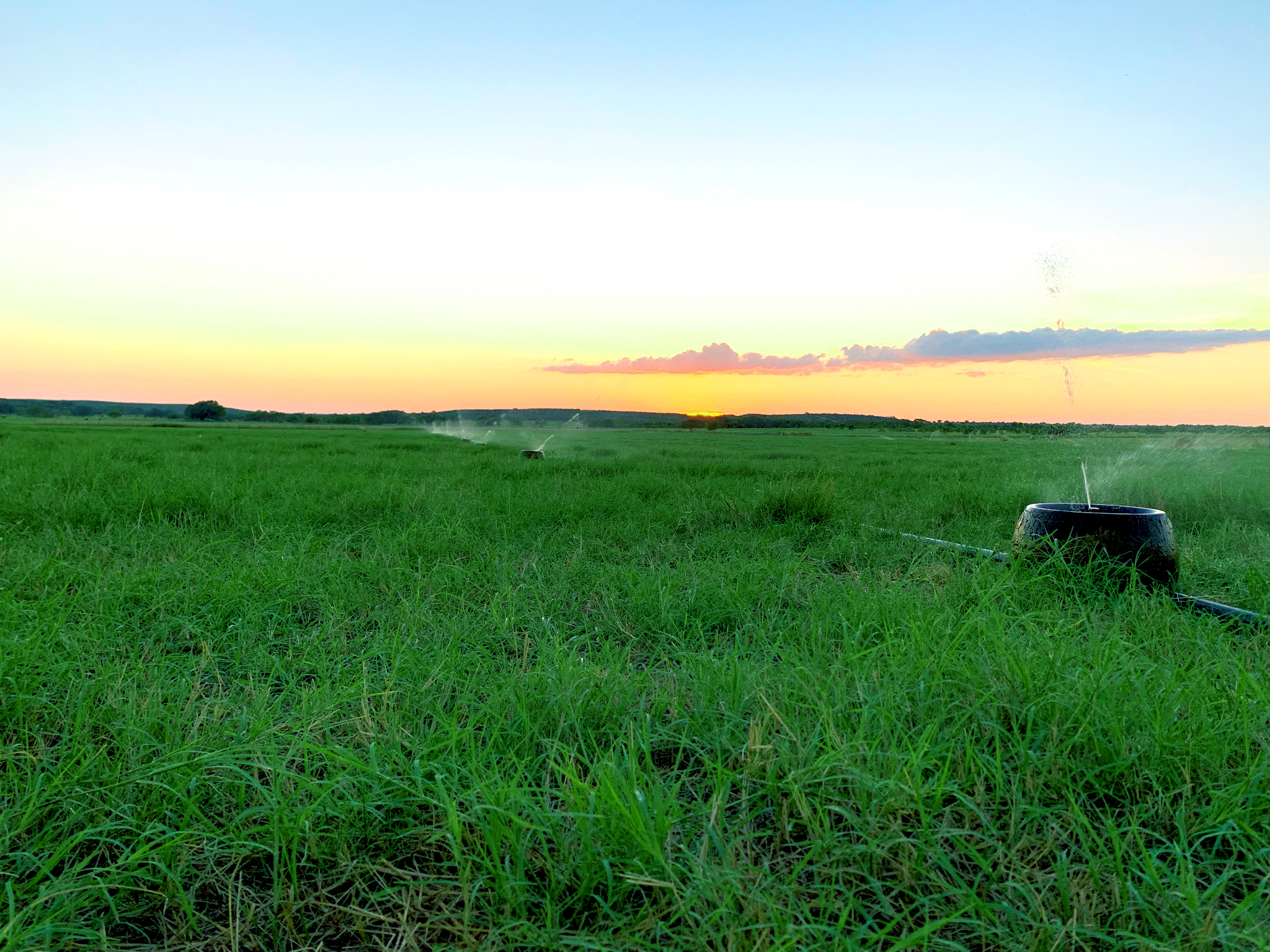 K-Line Irrigation pods watering a green pasture at sunset