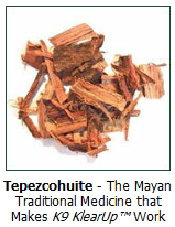 Tepezcohuite tree the Mayan medicinal ingredient in K9 KlearUp