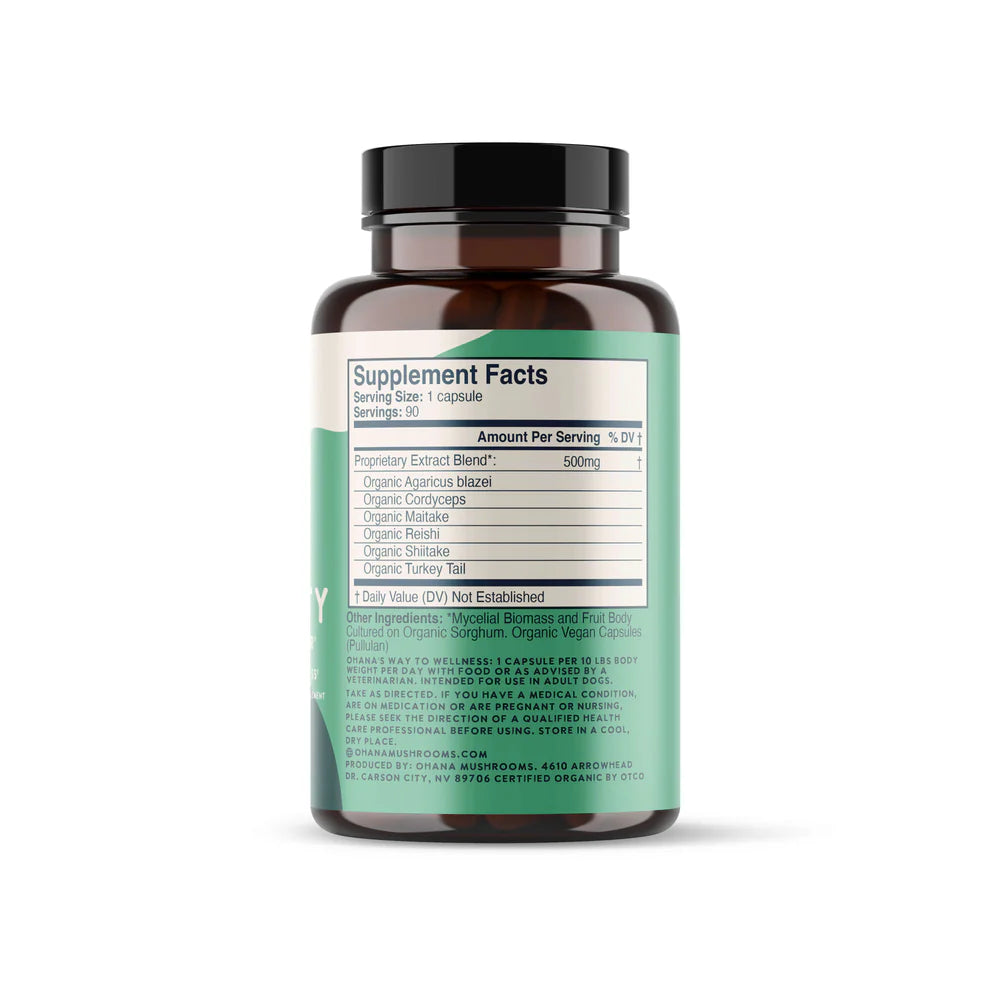 K9 Immunity supplement bottle right-side label with dosing information by K9 Medicinals