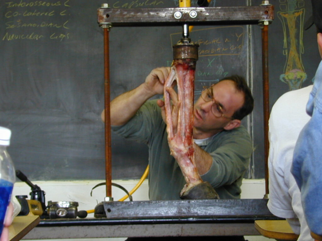 Kentucky Horseshoeing School hands-on equine limb anatomy and dissection lab