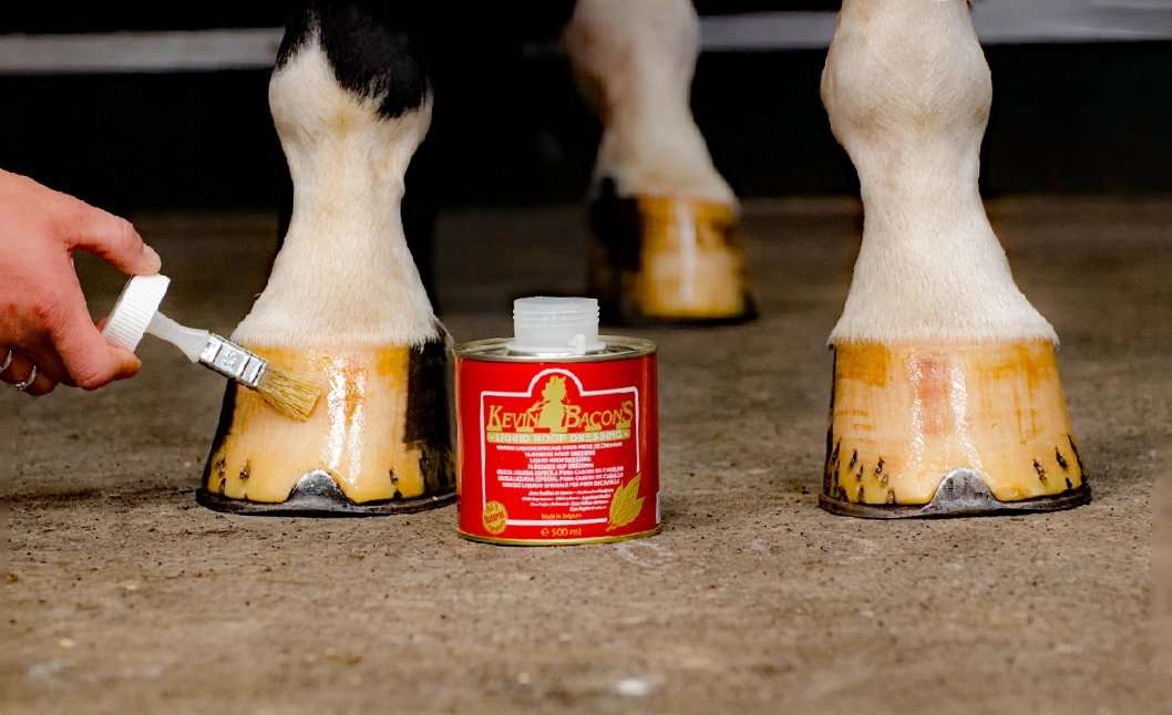 Kevin Bacon's 500 ml Liquid Hoof Dressing alternate product view