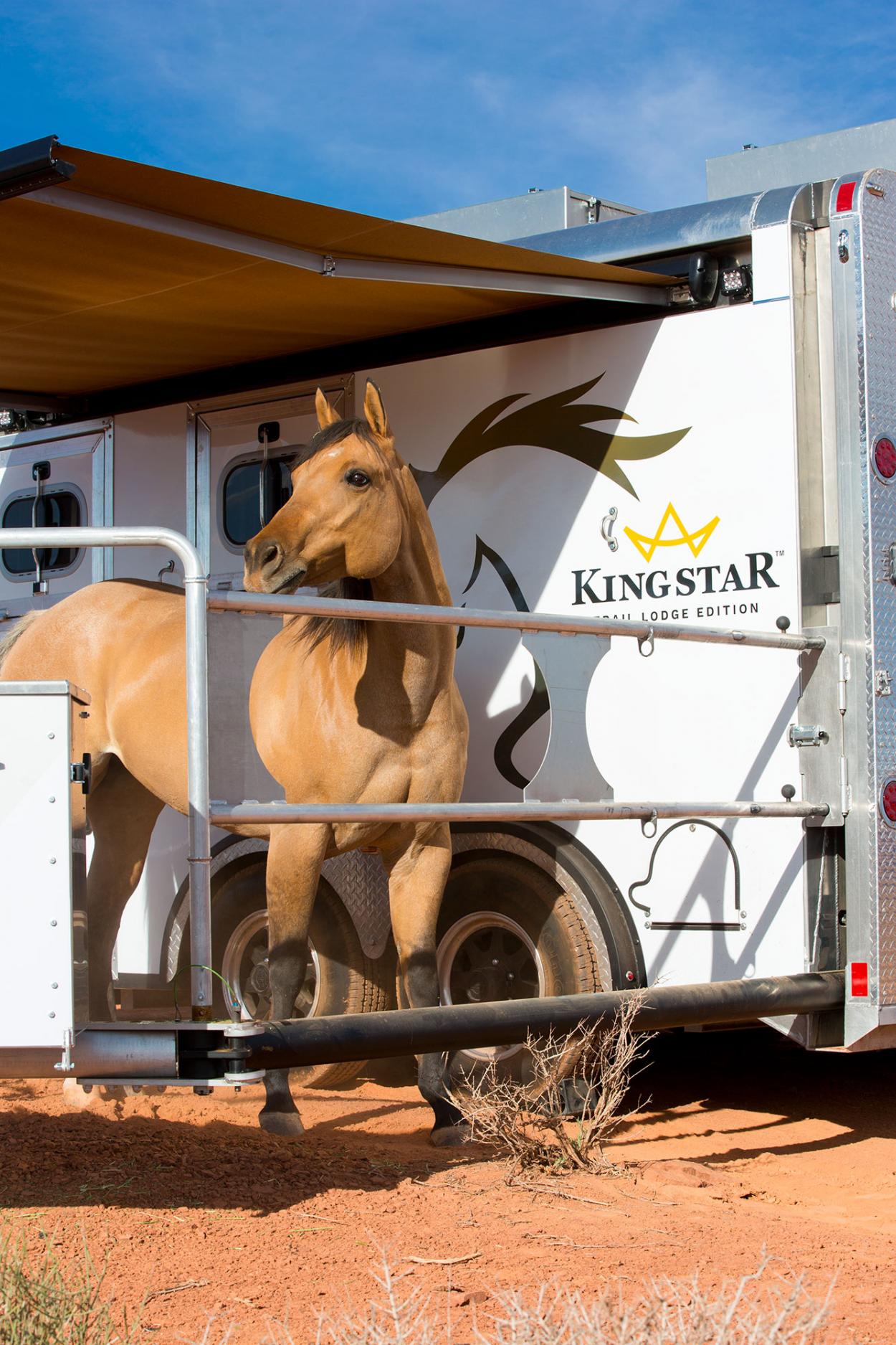 Buckskin horse standing calmly in a deployed Kingstar power corral beside the branded trailer in the red rock desert