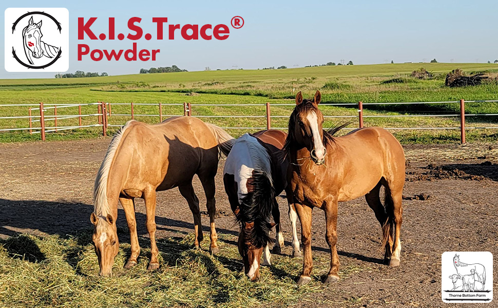 K.I.S. Trace by Thorne Bottom Farm equine forage balancer powder product banner