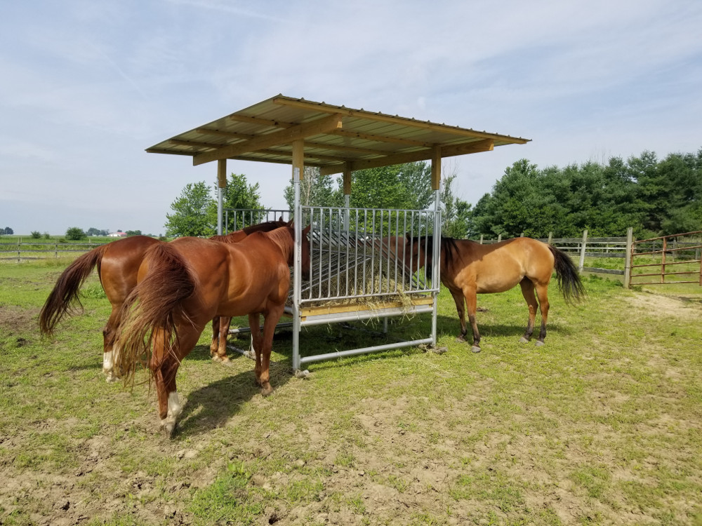 Klene Pipe Structures H-8 horse hay feeder in use on pasture