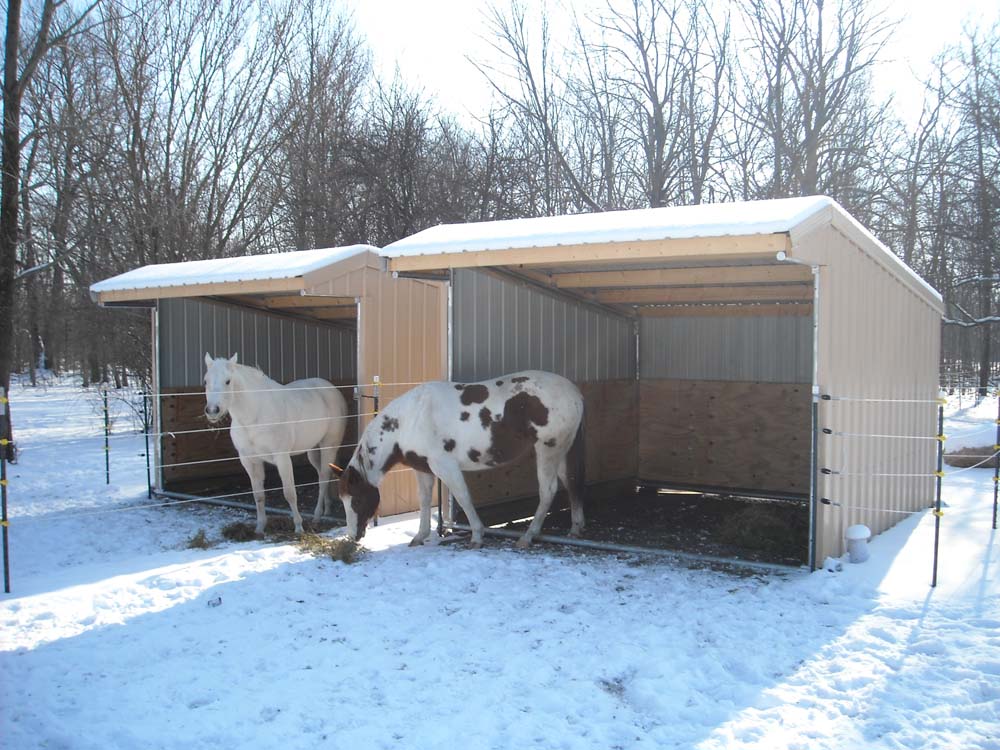 Horses sheltering in a Klene Pipe run-in horse shed during winter