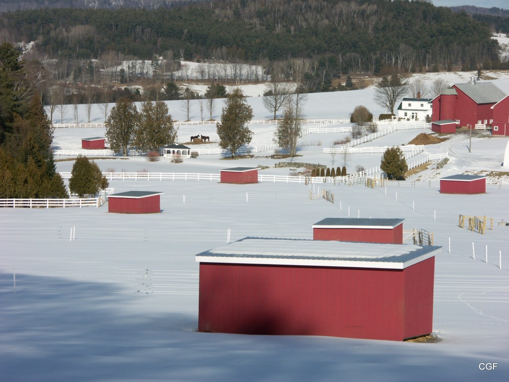 Klene Pipe Maverick 12 x 24 run-in horse shelter in winter snow