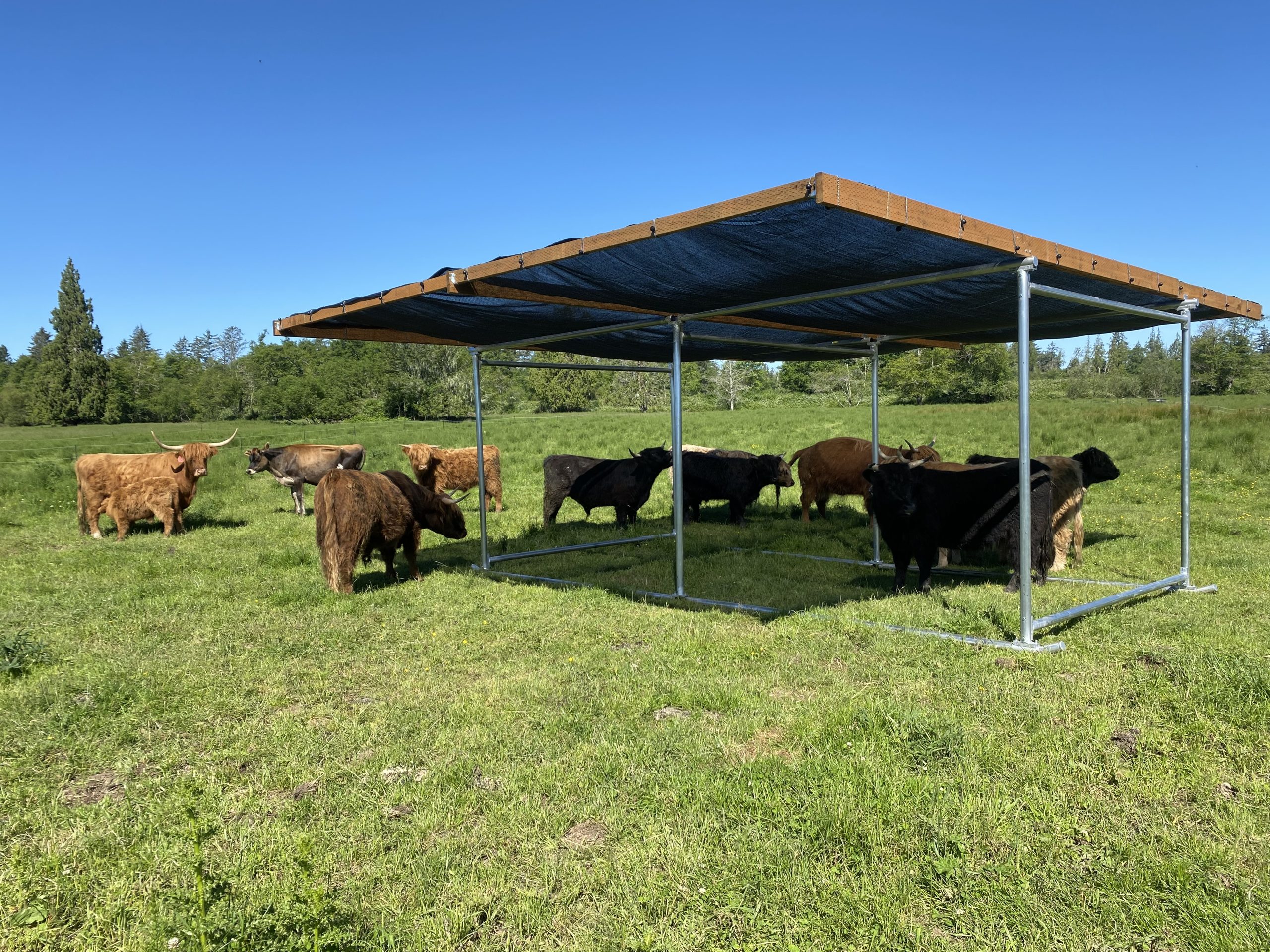 Klene Pipe Structures portable horse shade kit steel pipe frame made in USA