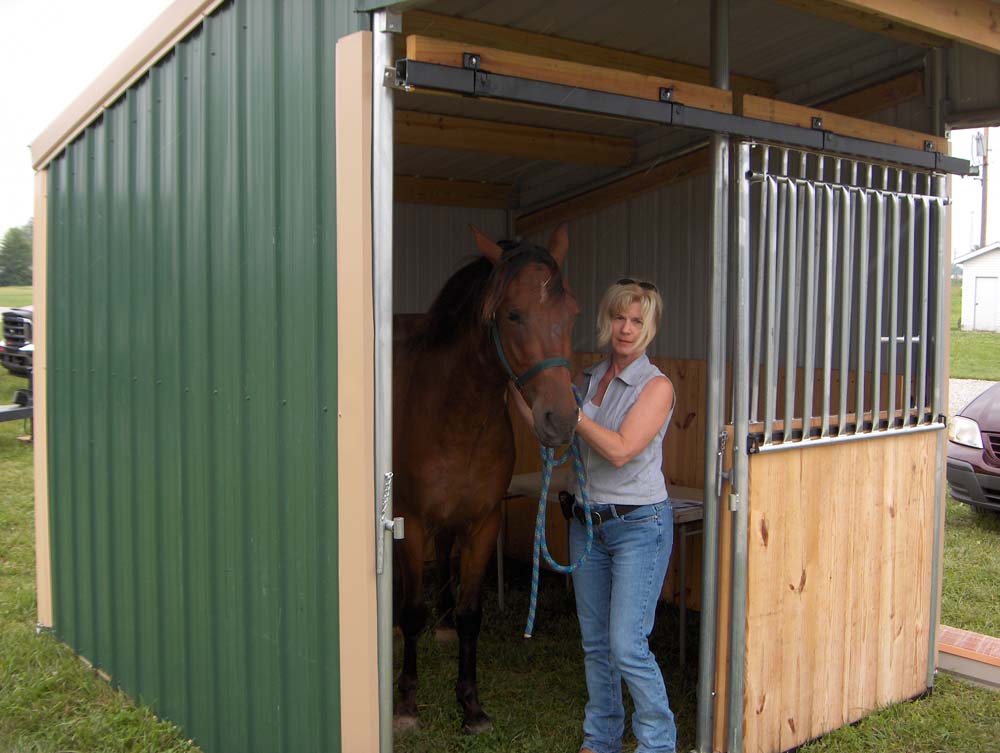 Horse named Midnight standing in a Klene Pipe Wrangler run-in horse shelter