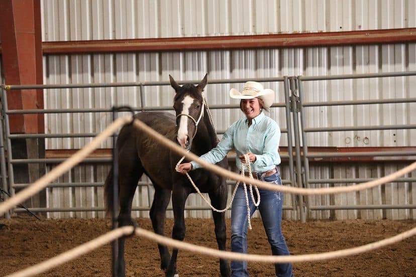Lamar Community College equine student riding a trained performance horse for the Lamar Legacy Horse Sale