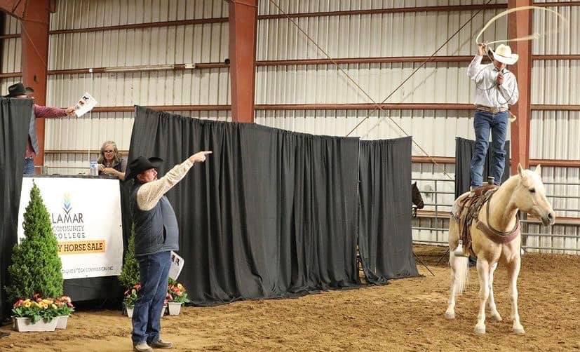 Lamar Legacy Horse Sale performance horse trained by Lamar Community College equine students
