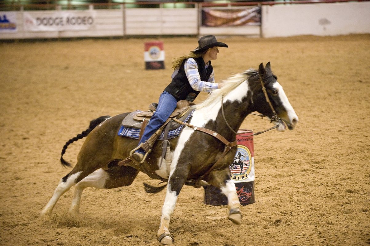 Barrel racer and her paint horse cutting around a barrel at speed, the kind of performance demand that taxes equine lungs