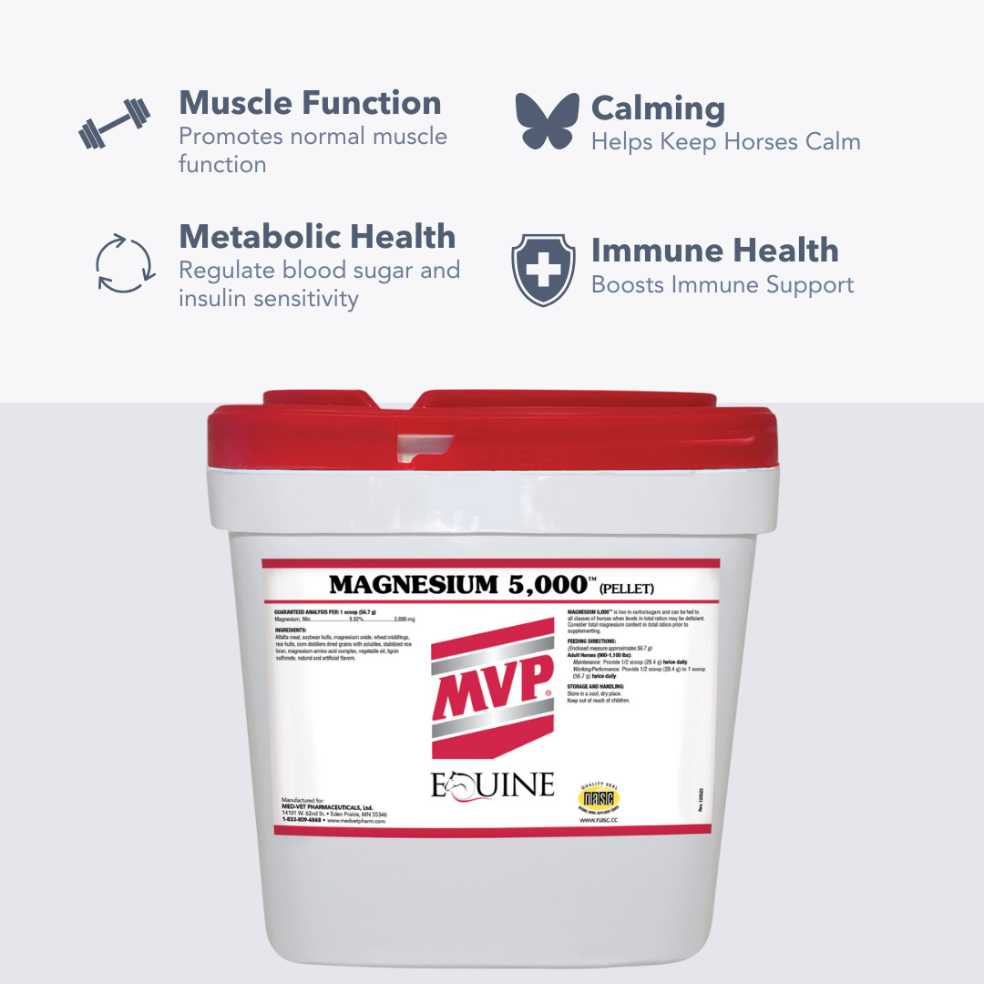 Magnesium 5000 benefits chart: muscle function, calming, metabolic and immune health