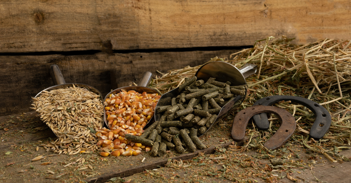 Scoops of oats, corn and chopped forage pellets beside loose hay and a horseshoe