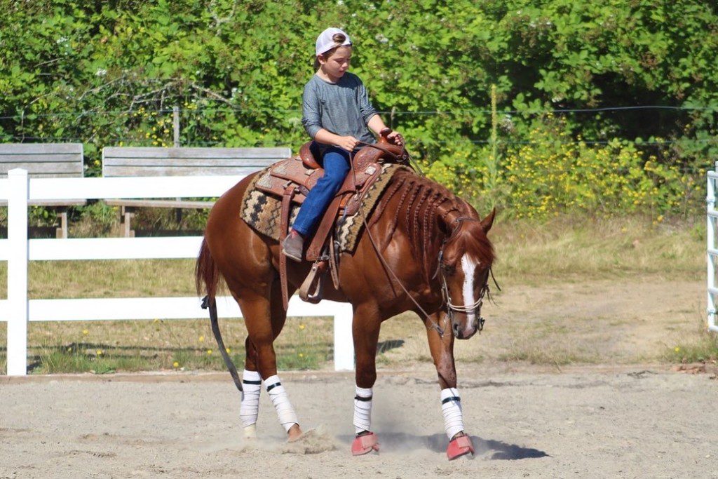 Hands-on horsemanship instruction at the Lyons Legacy Equestrian Academy