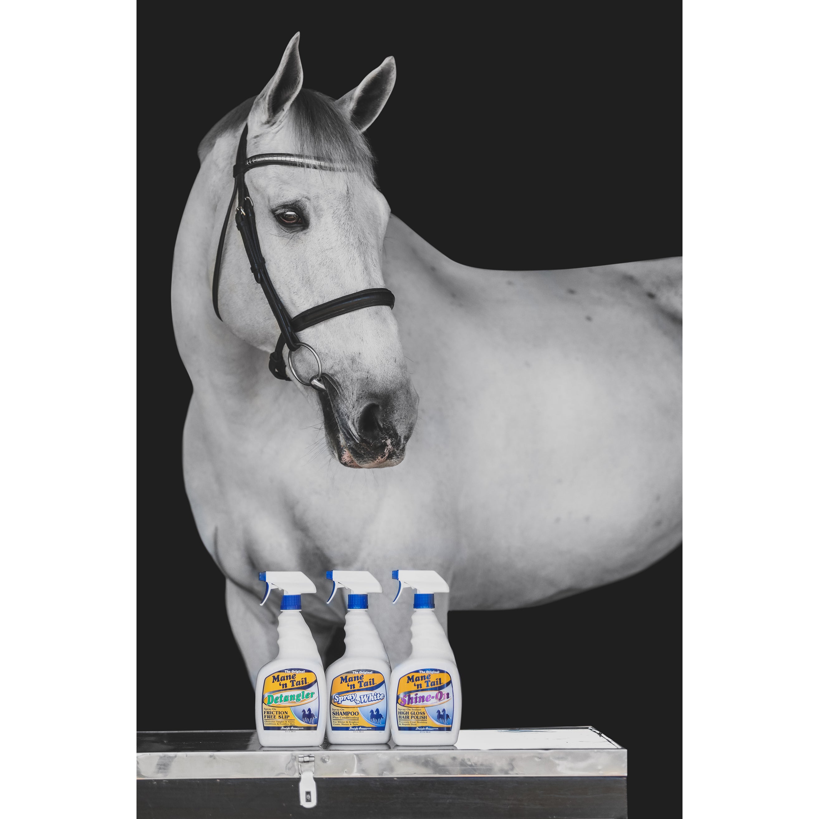 Grey show horse in a halter beside Mane 'n Tail Detangler and finishing spray bottles