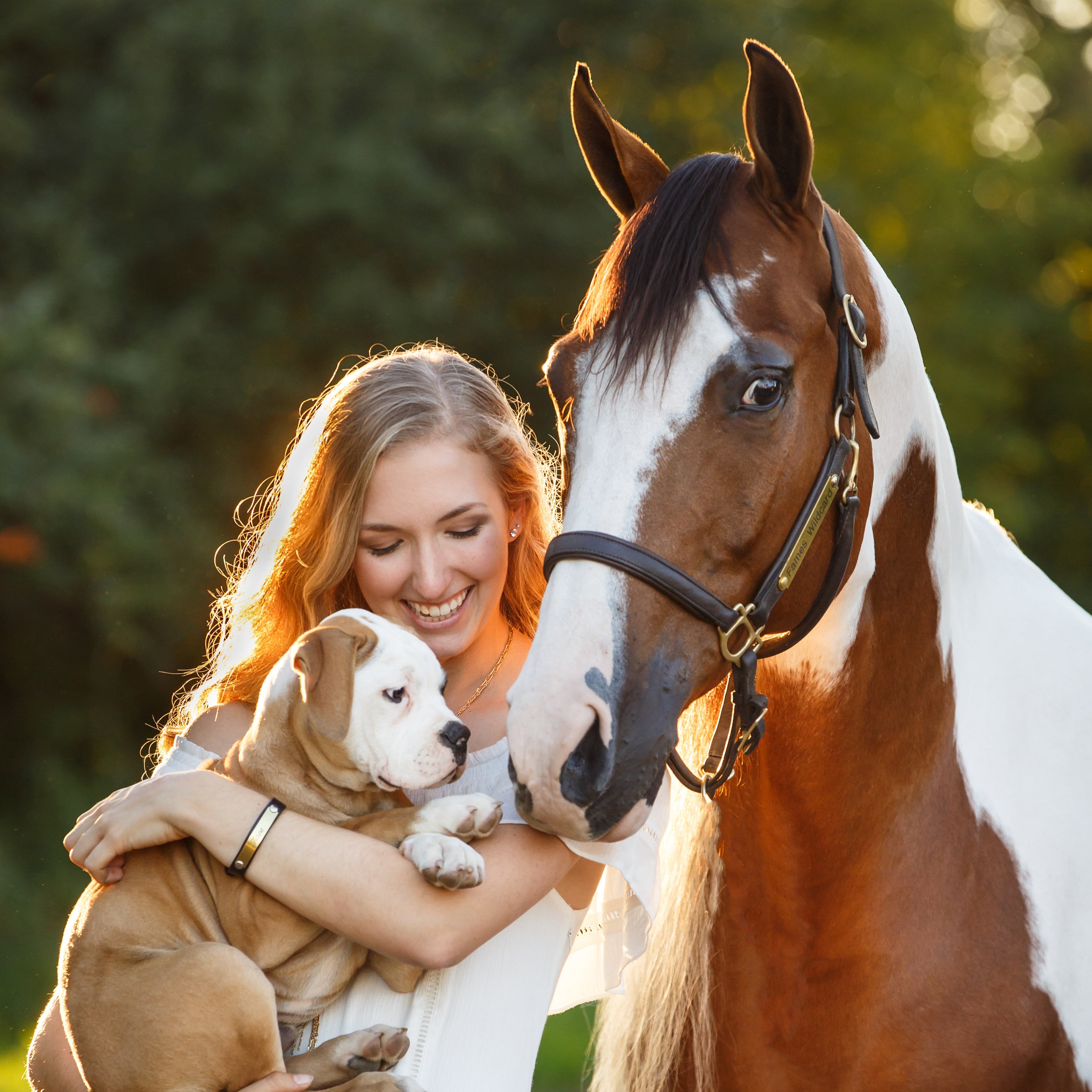Smiling rider with a paint horse and a puppy in warm evening light outdoors