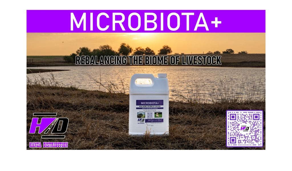 MICROBIOTA+ by Hanza Distribution gut health banner graphic