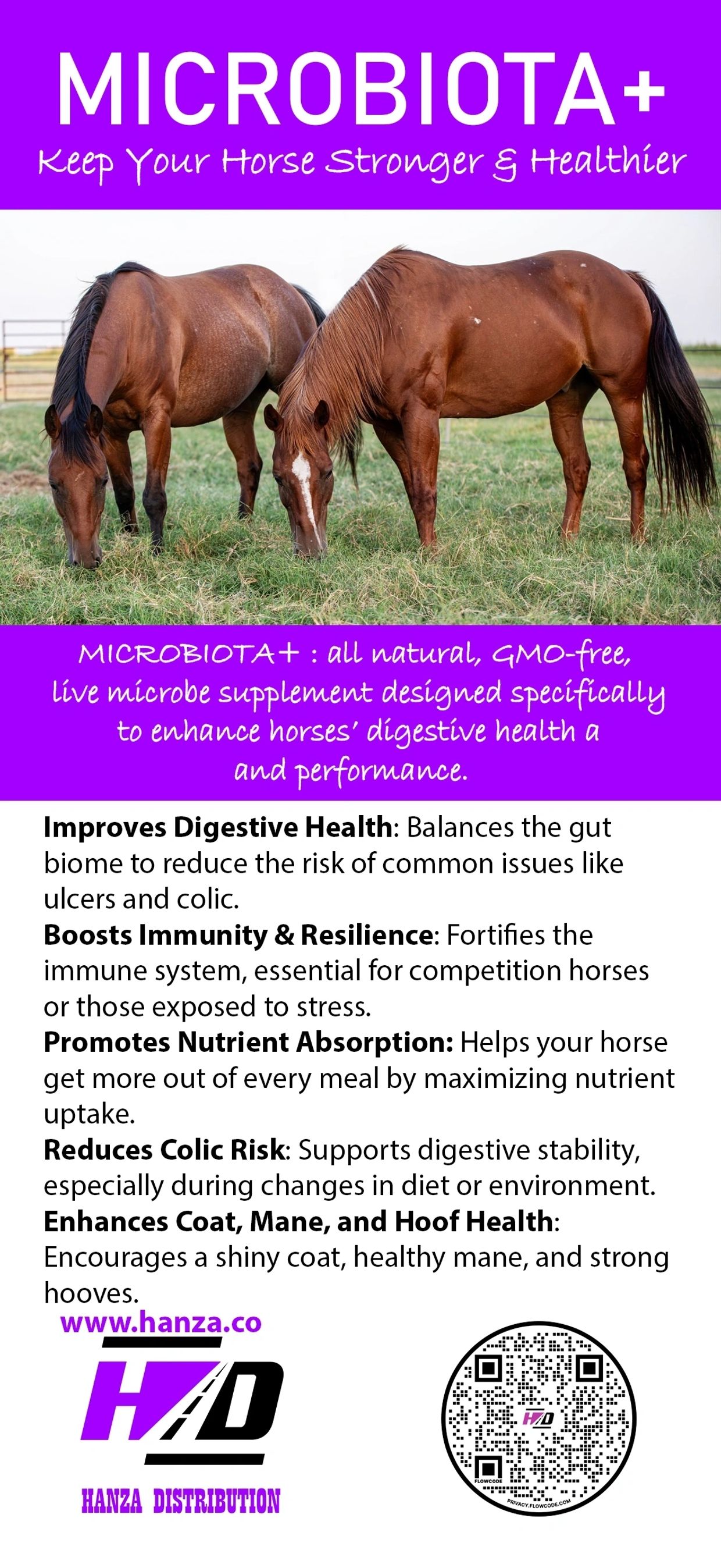 MICROBIOTA+ by Hanza Company gut health liquid feed supplement for horses