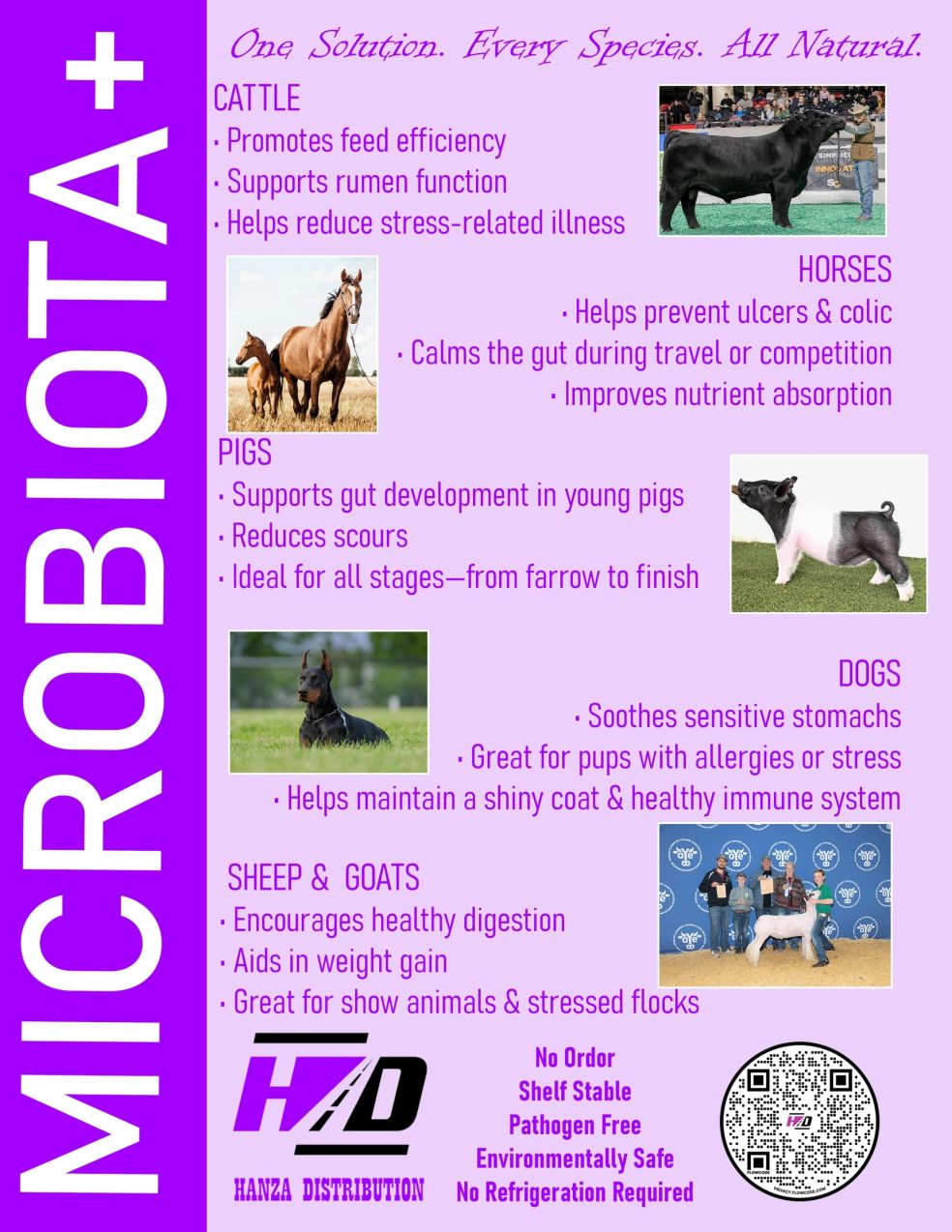 MICROBIOTA+ by Hanza product flyer showing 100% natural and organic gut health benefits
