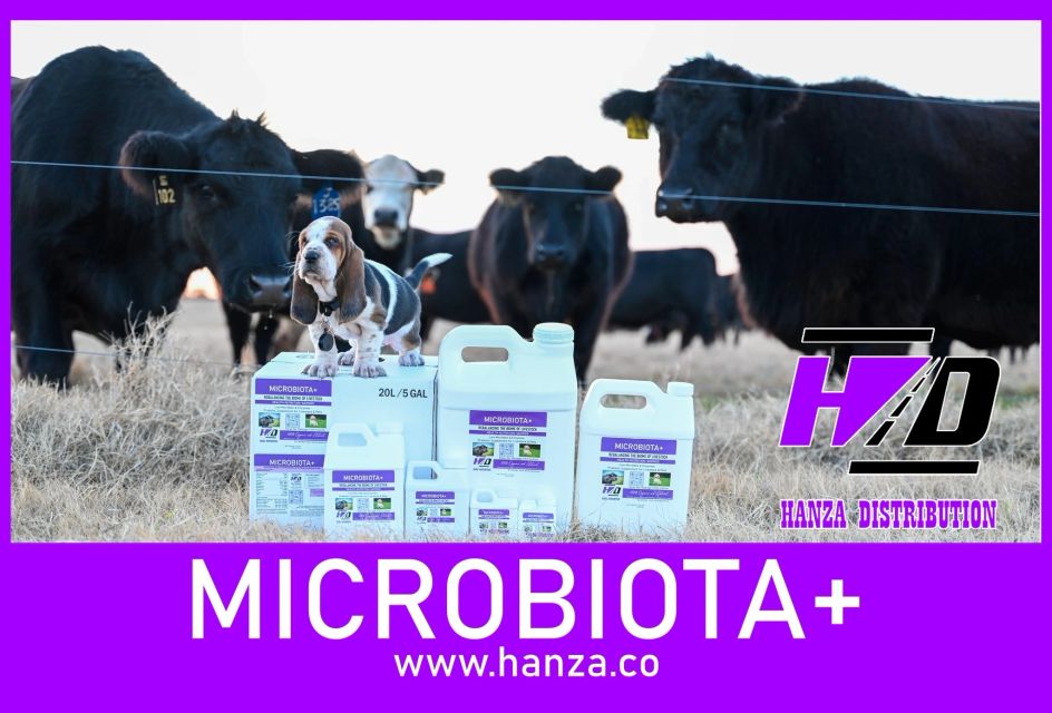 MICROBIOTA+ by Hanza product sizes 1 gallon 2.5 gallon and 5 gallon box