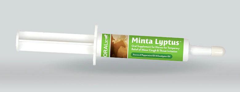 Minta Lyptus oral gel syringe with green OralX label for horses
