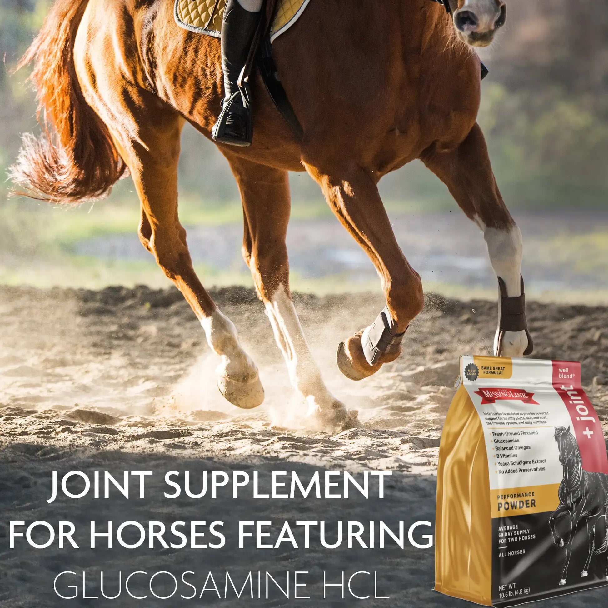 Chestnut horse working at speed in an arena, illustrating the joint demands Equine Plus supports