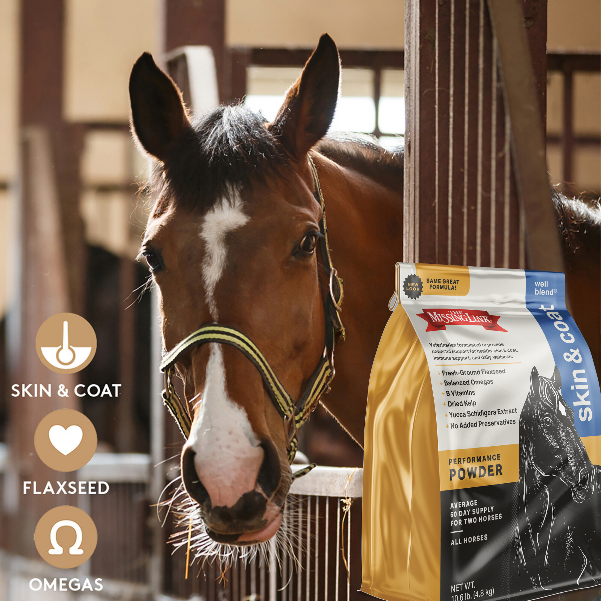 Bay horse looking out from a sunlit stall beside the Missing Link skin and coat powder bag