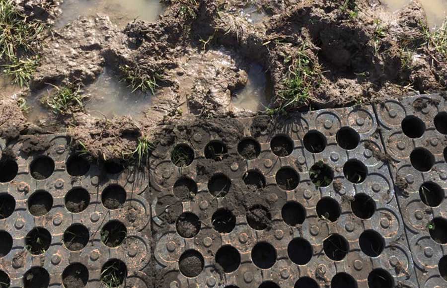 Mud Control Grids being installed directly on top of mud with no ground prep