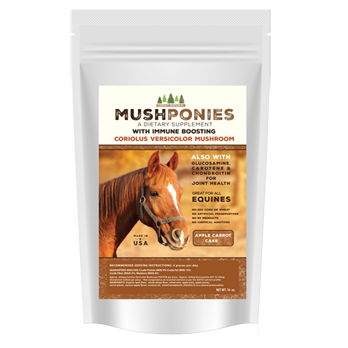 MushPonies 16oz Large Bag apple carrot cake equine immune supplement treats