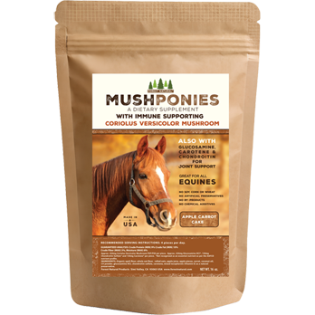 MushPonies 8oz bag of Coriolus Versicolor mushroom immune support horse treats