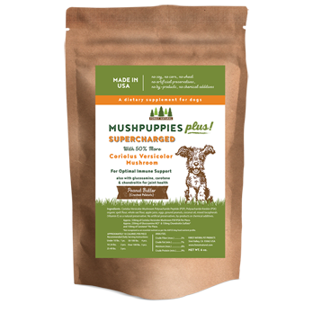 MushPuppies Plus dog biscuits with 50 percent more Coriolus Versicolor mushroom