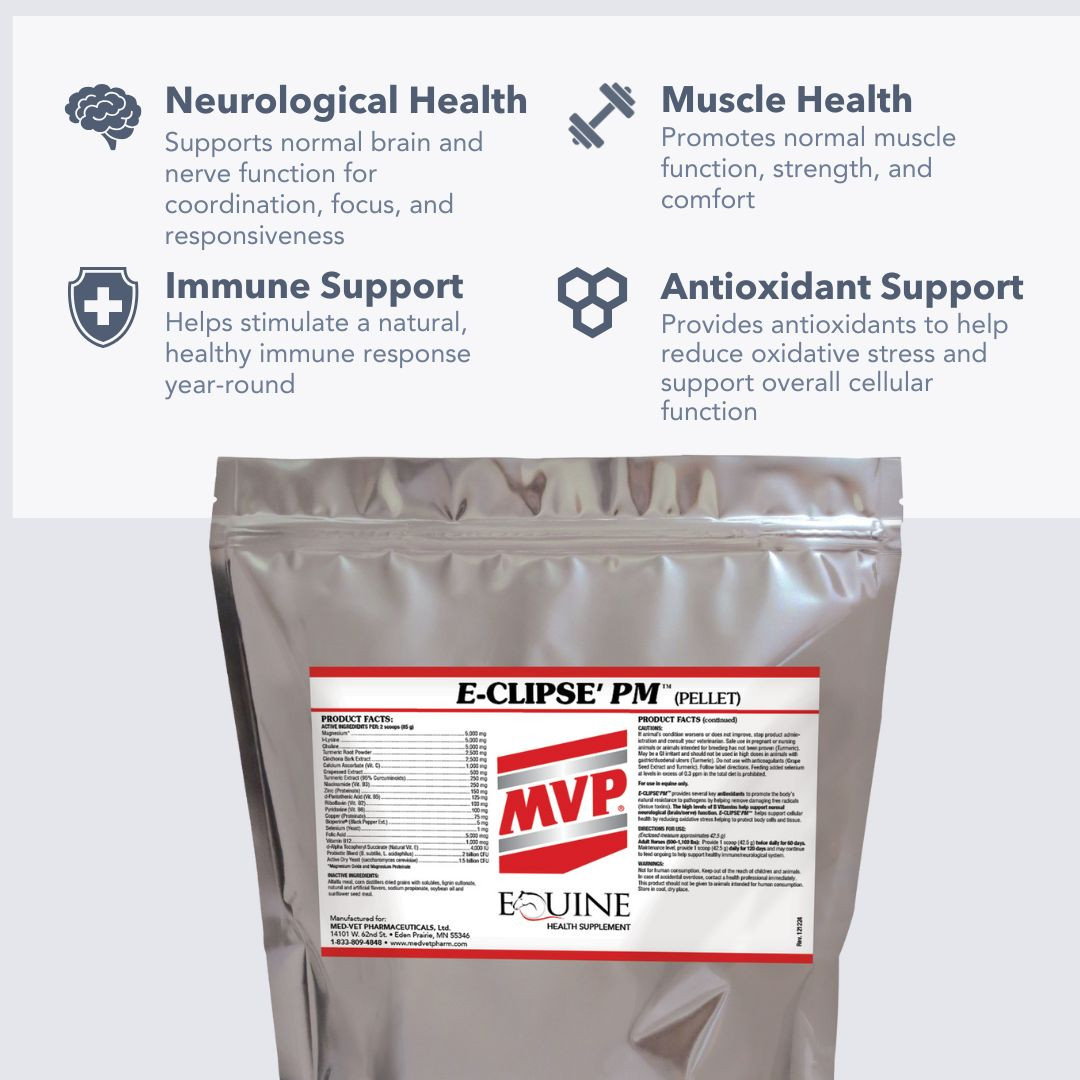 MVP Eclipse'PM pellets benefits chart for equine immune and antioxidant support
