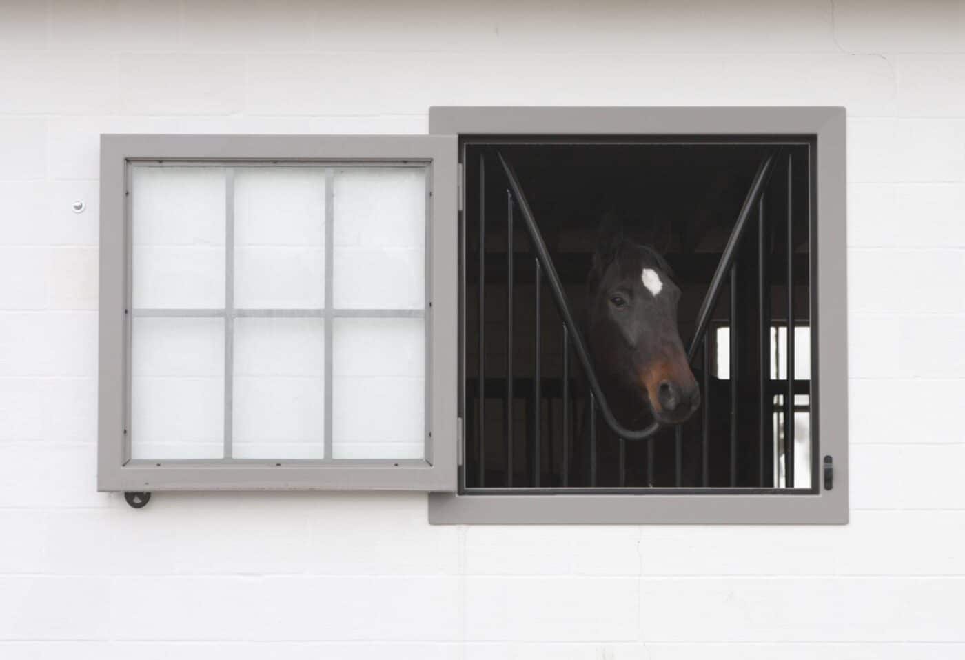 Row of horse stall front grills with reversible feed holes by New Holland Supply
