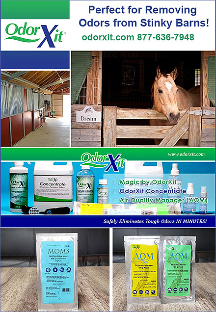 2.6 Times MORE EFFECTIVE than Chlorine Bleach-- MOMS and AQM by OdorXit