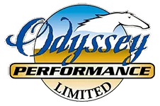 Odyssey Performance Horse Exerciser circular free-movement training track by System Equine