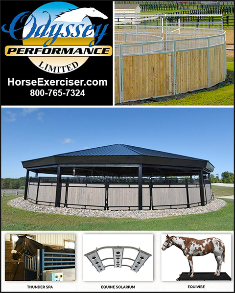Odyssey Performance Horse Exercise r By Odyssey Performance Limited