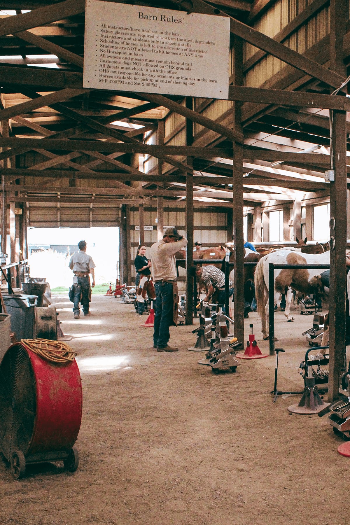 Rows of students working under horses in the Oklahoma Horseshoeing School shoeing barn