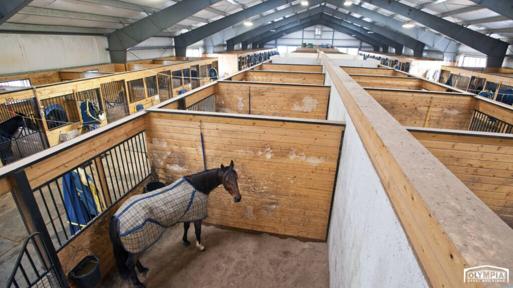 Olympia Steel Buildings interior steel horse stables with stall rows