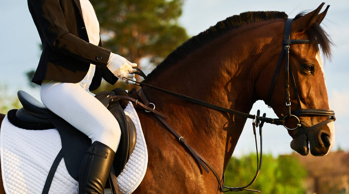 OralX equine composure supplement category featuring Calm & Cool