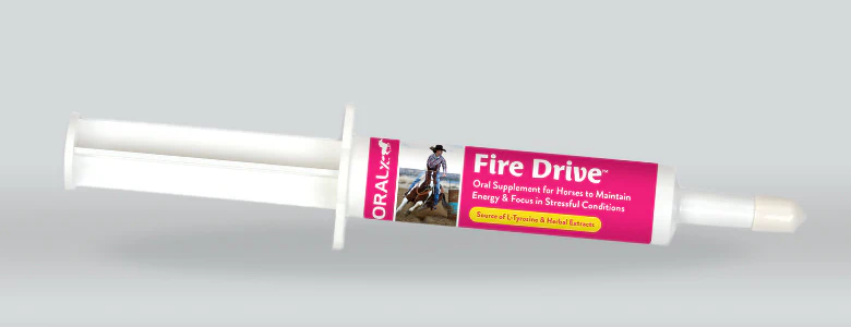 Fire Drive by OralX Corporation oral paste syringe for performance horses