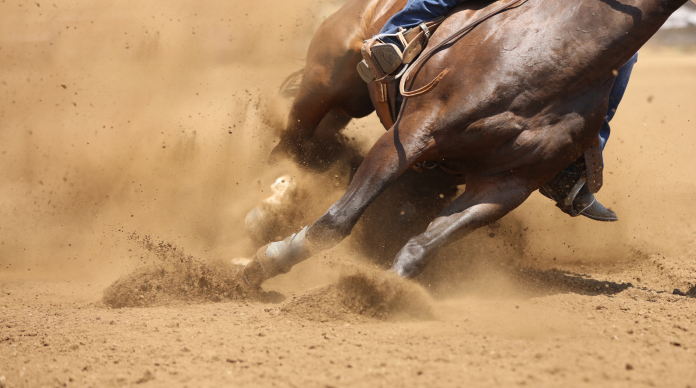 Quarter horse driving hard through the dirt in a fast rollback during a performance run