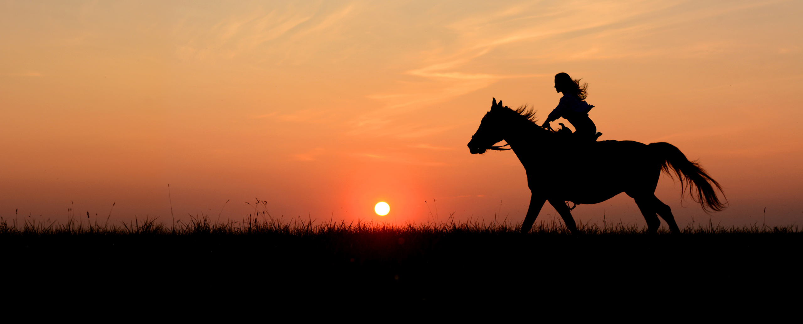 OralX Corporation performance horse animal supplements