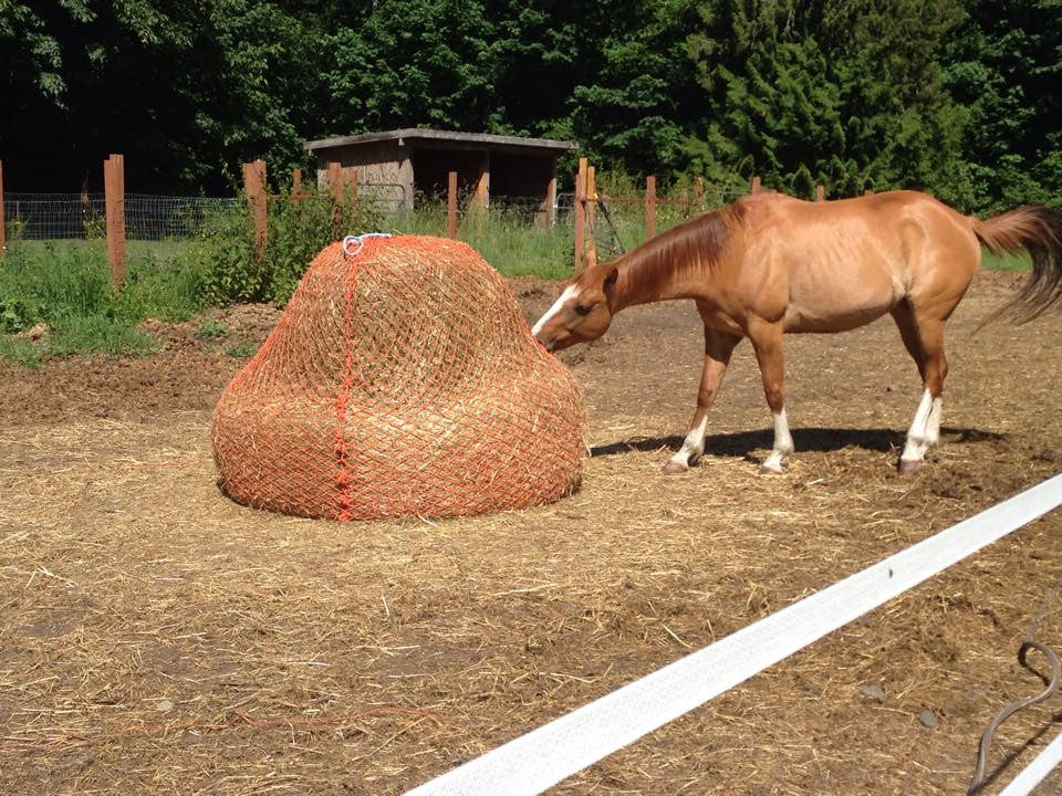 Orange Slow Feeder 4 by 5 round bale slow-feed hay net filled with hay