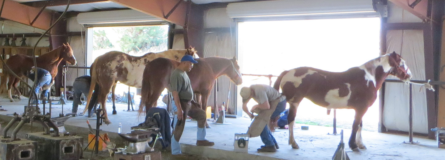 Pacific Coast Horseshoeing School students training in the farrier forge in Plymouth, California