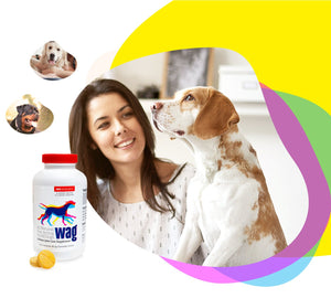 Pet Research Wag canine joint care homepage banner with dog