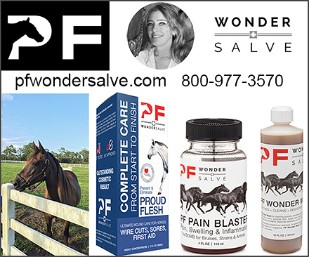 P.F. WonderSalve