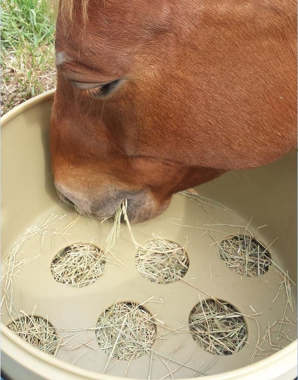 Horse grazing head-down from a PORTA-GRAZER slow hay feeder
