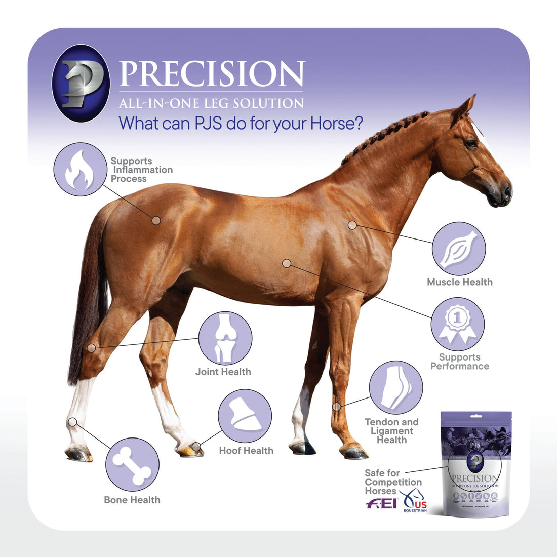 Precision Equine Solution's performance horse product benefits lifestyle photo