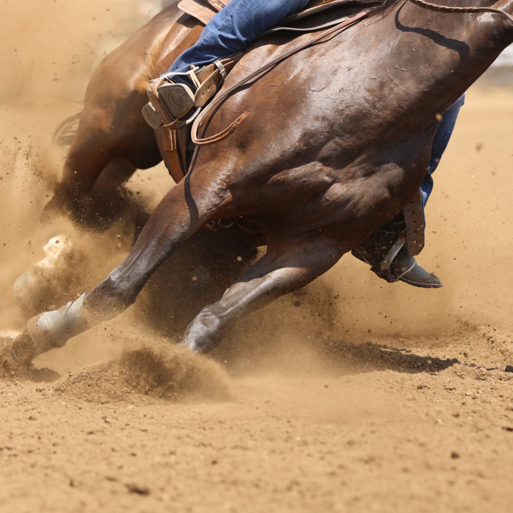 Horse and rider in competition supported by Precision Equine Solutions products