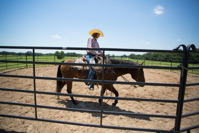 Priefert Premier round pen built from connected Premier Panels for horse training